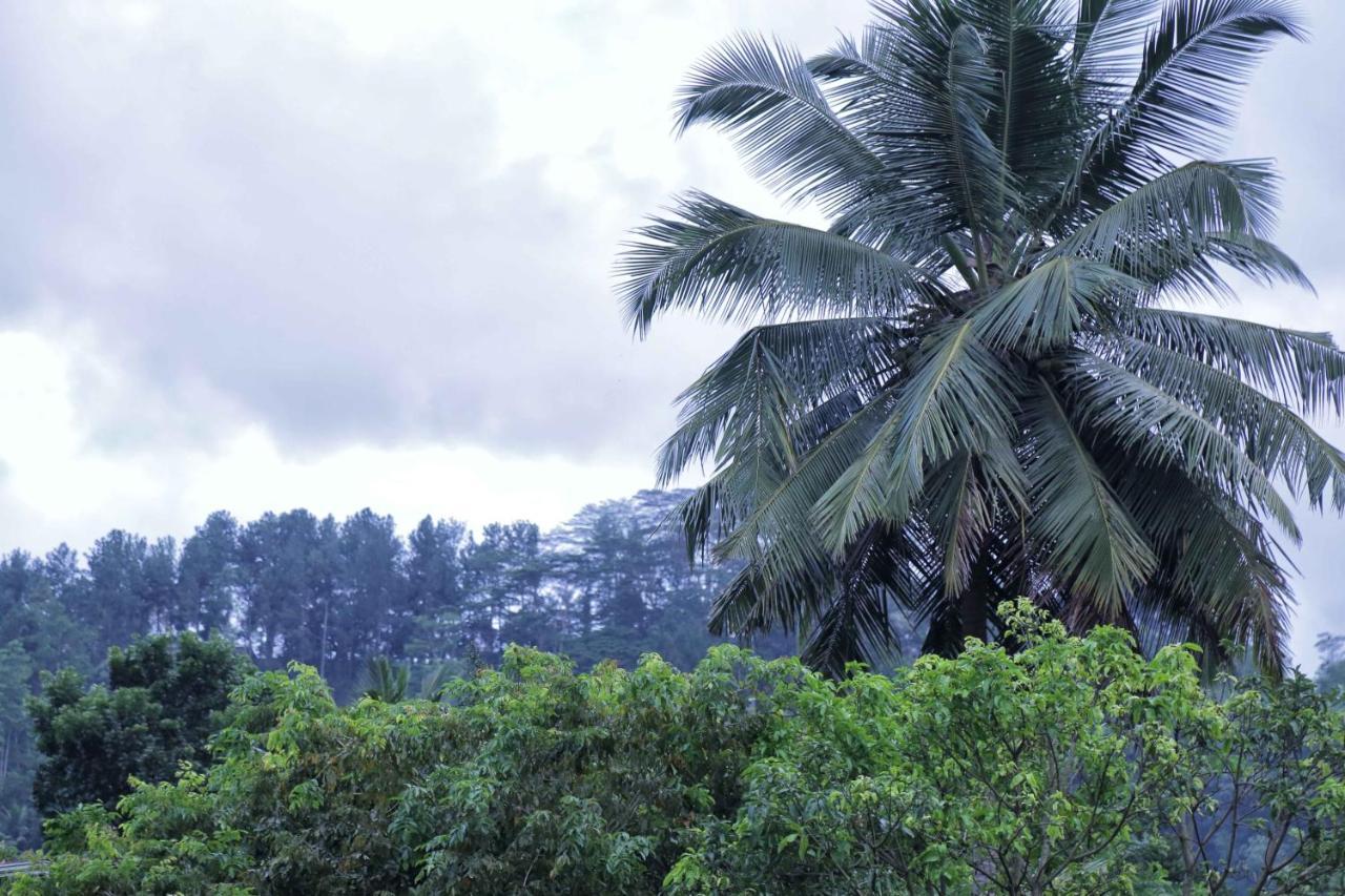 Mount River View Kandy Exterior foto